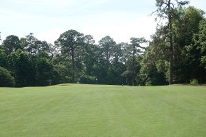 Palmetto 12th Approach